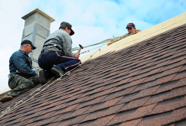 Best Best Roofing Contractors  in Westfield, IN